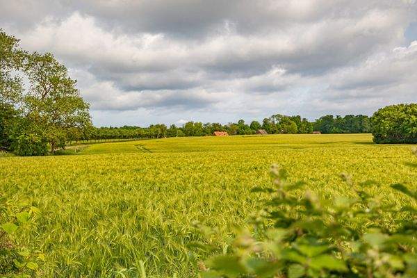 Blick über die Felder