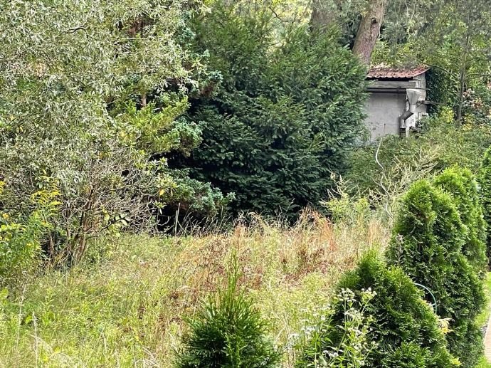 Ruhig gelegenes Wochenendgrundstück in Schmachtenhagen