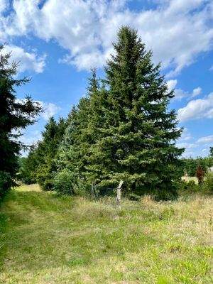 idyllisches Grundstück