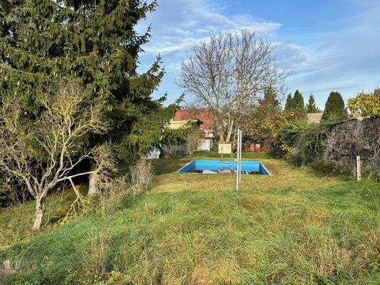 Garten mit Swimmingpool