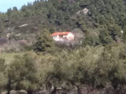 Absolute Aleinlage.jpg