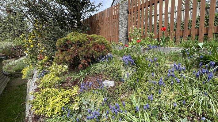 Grundstück hinterm Haus