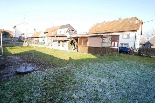 Bild15