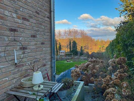 3. Blick in den Garten.jpg