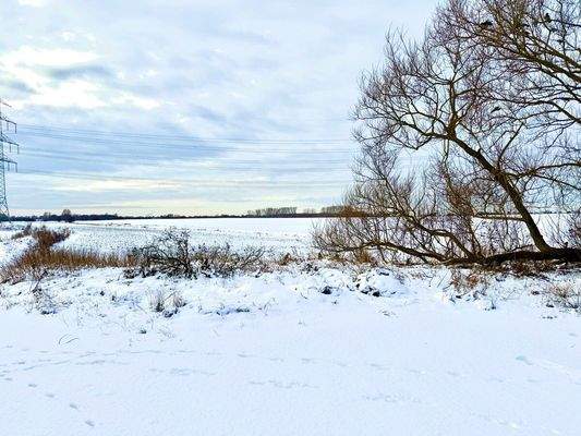 Sicht über das Feld