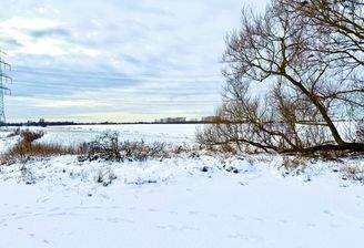 Sicht über das Feld