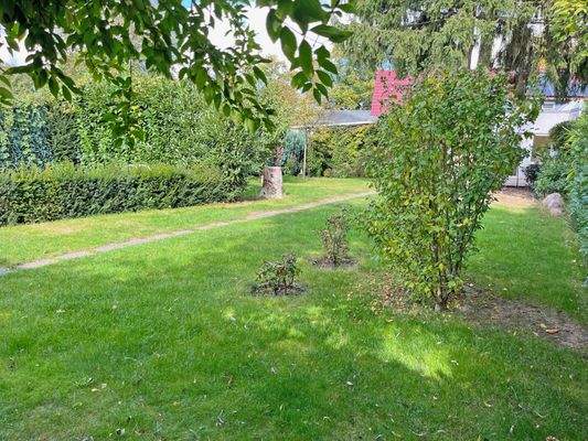 Garten3.jpg