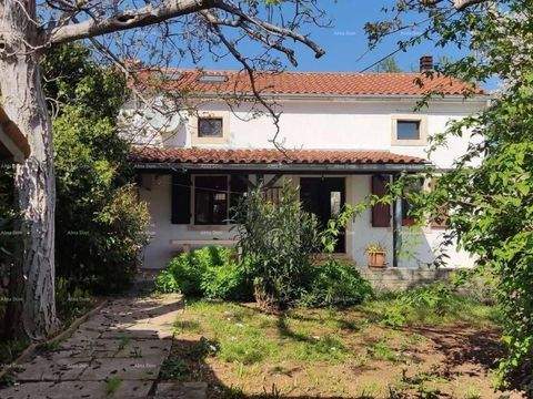 Center Häuser, Center Haus kaufen