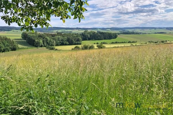 mkaw-immobilien-grundstueck-kaufen-ried-im-innkrei