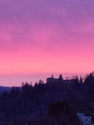 Blick vom Wohn- und Esszimmer