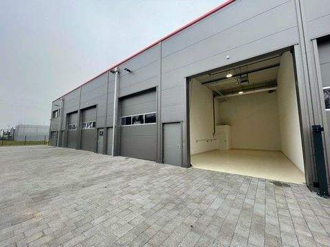 Linkenheim-Hochstetten Halle, Linkenheim-Hochstetten Hallenfläche