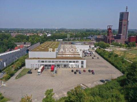 Gelsenkirchen Halle, Gelsenkirchen Hallenfläche