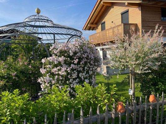 Blühende Gartenhecke