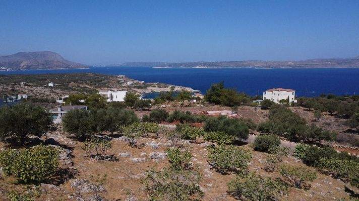 Kreta, Kokkino Chorio: Ruhiges Landgrundstück mit Dorfnähe zu verkaufen