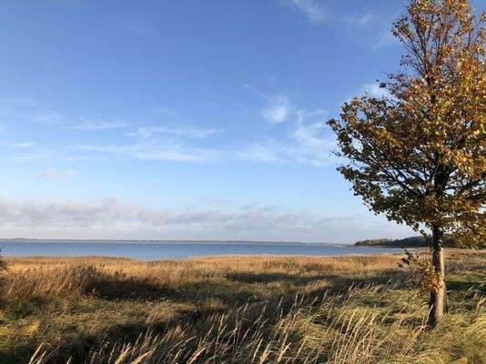 Herbst am Bodden