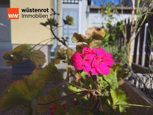 Sonne genießen und träumen