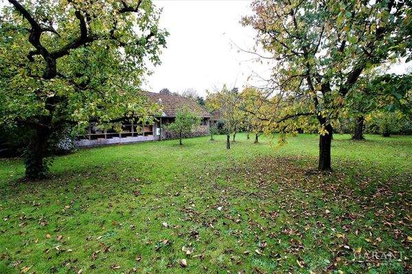 Großer Obstbaumgarten