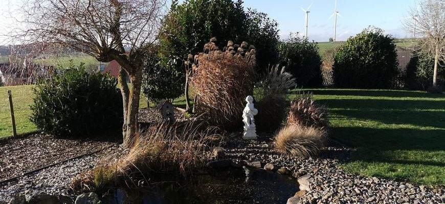 Schön angelegter Garten