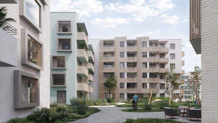 241220_Nestbau3_Freiburg_cam10 _B.jpg