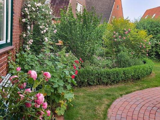 Sommerliche Gartenimpressionen