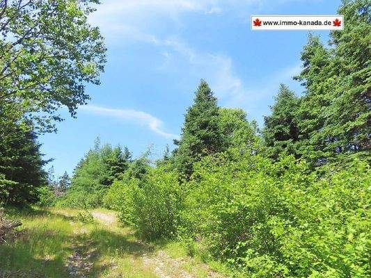Cape Breton - Preiswertes 8,9 Hektar-Grundstück in
