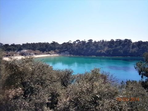 Thassos Bauernhöfe, Landwirtschaft, Thassos Forstwirtschaft