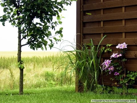 Zeulenroda-Triebes Grundstücke, Zeulenroda-Triebes Grundstück kaufen