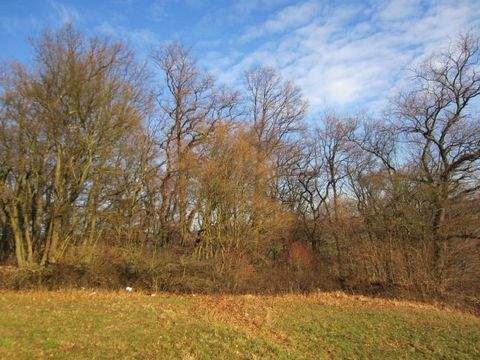 Widdern Grundstücke, Widdern Grundstück kaufen