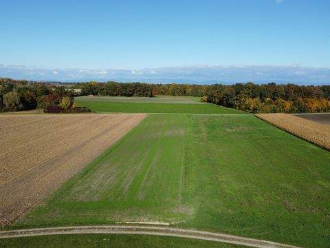 Wallersdorf Bauernhöfe, Landwirtschaft, Wallersdorf Forstwirtschaft