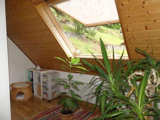 Offene Galerie Dachgeschoss.JPG