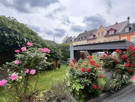 2025-3361-Blick in den Rosengarten