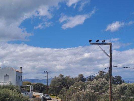 Kreta, Atsipopoulo: Wunderschöne Villa in malerischer Lage mit Meerblick zu verkaufen