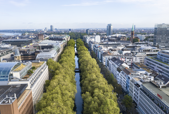 etwa 250 Meter von der Königsallee entfernt