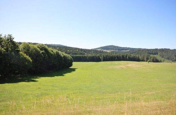 Blick auf das Grundstück