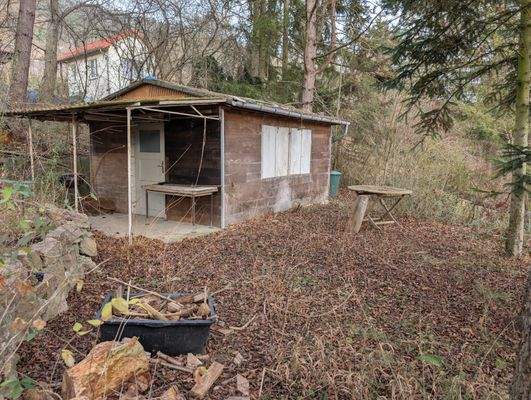 PXL_20251203_124929686