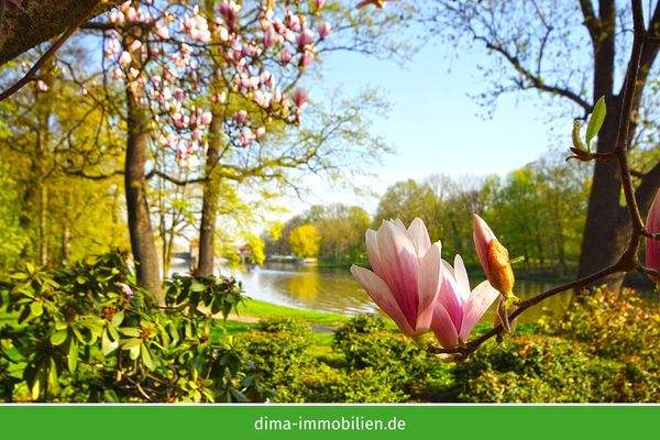 Umgebung - Palmengarten