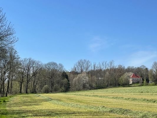 Ansicht von Südwest im Frühling