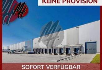 INFOS UNTER: 06171-586000