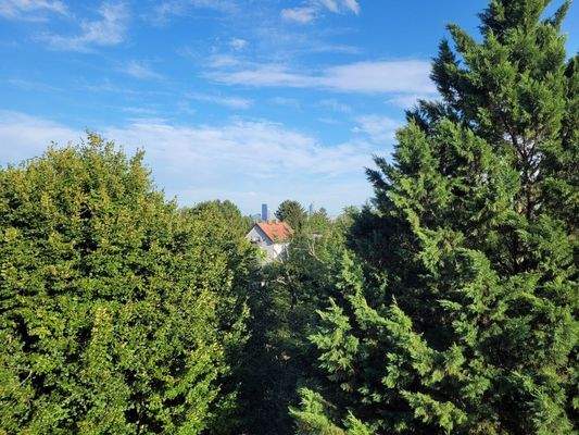 Grün mit Skyline in der Ferne