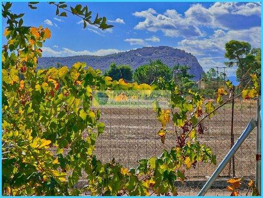 250beecd56154d79b20a17d52999f2a8-original