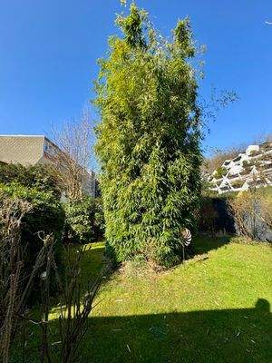 Gartenblick