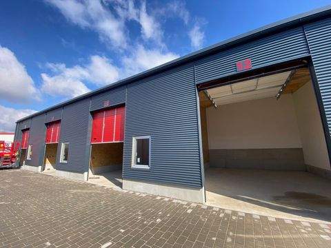 Helmstadt-Bargen Halle, Helmstadt-Bargen Hallenfläche