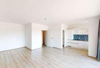 Beispielbild: offener Wohn-, Schlaf- und Essbereich (2)