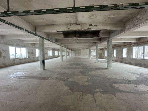 Arzberg Halle, Arzberg Hallenfläche