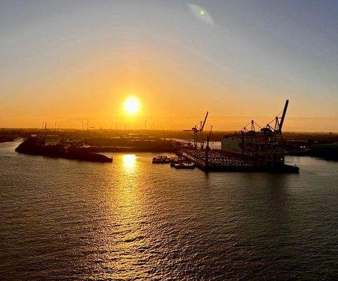 Hafenkrähne Sonnenuntergang