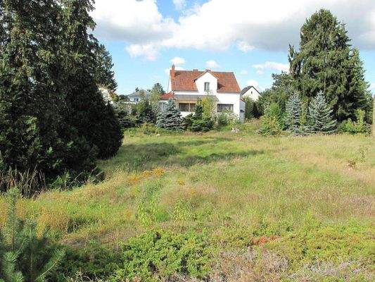 GRUNDSTÜCK MIT ALTBESTAND -4887.JPG