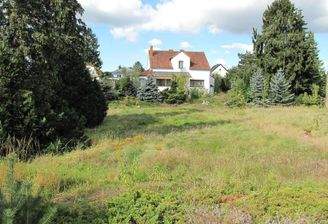 GRUNDSTÜCK MIT ALTBESTAND -4887.JPG