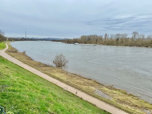 unverbaubarer Rheinblick