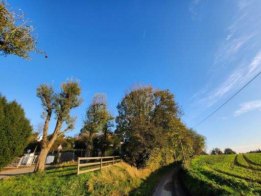 Spazierwege vor der Haustür 