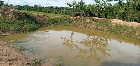 Manicore Häuser, Manicore Haus kaufen